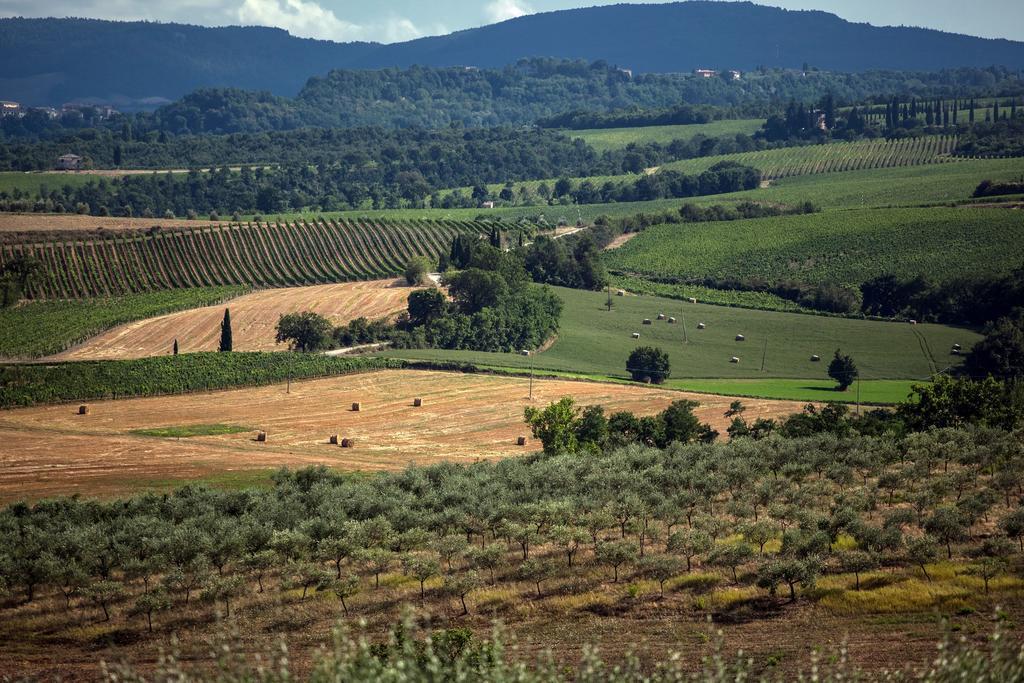 Sanguineto Acquaviva (Montepulciano)