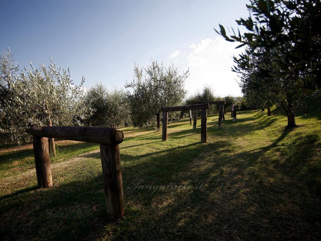 Country house Agriturismo Sanguineto Acquaviva (Montepulciano)
