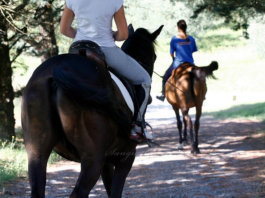 Agriturismo Sanguineto
