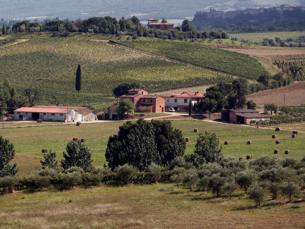 Agriturismo Sanguineto Country house Acquaviva (Montepulciano)