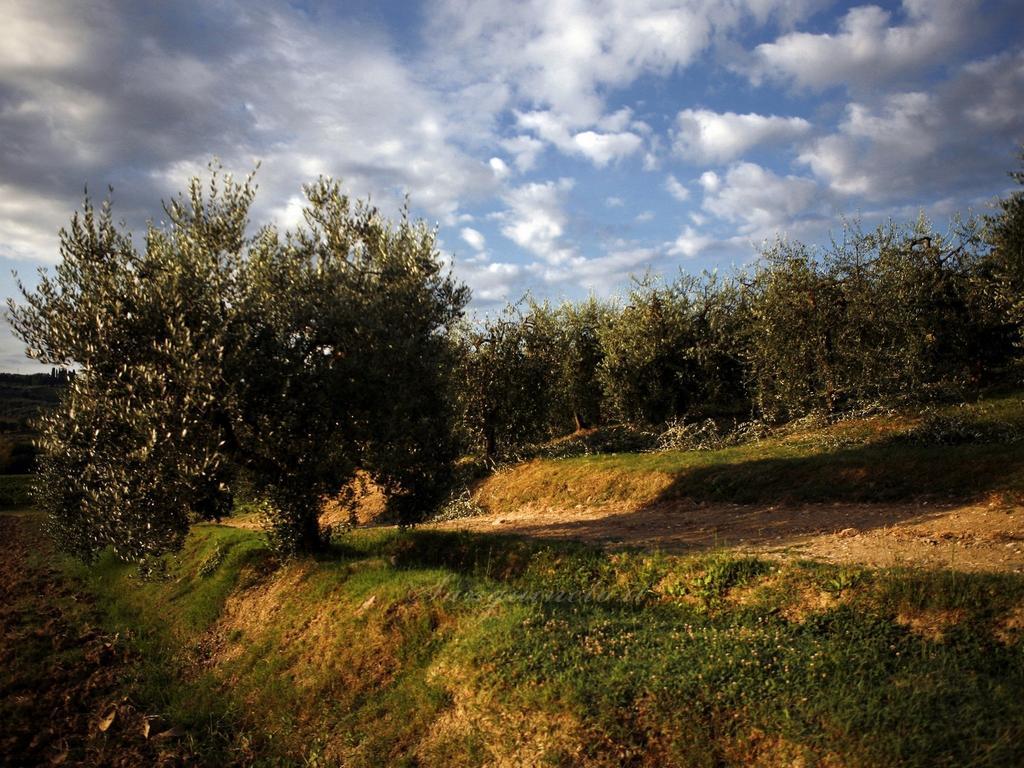 Agriturismo Sanguineto Country house *