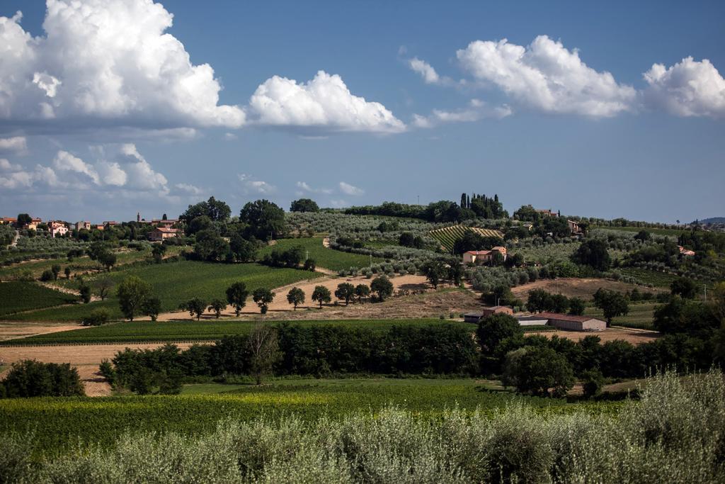 Agriturismo Sanguineto Country house