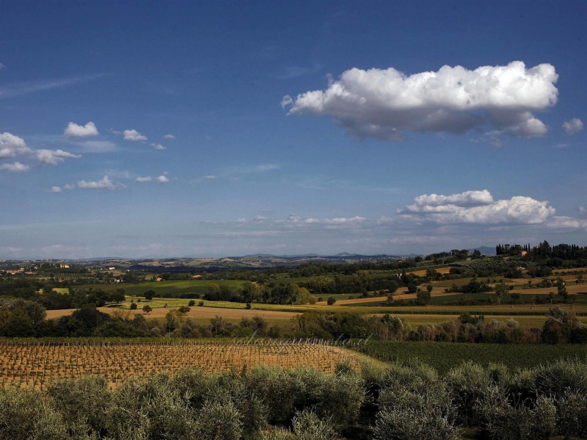 Country house Agriturismo Sanguineto Acquaviva (Montepulciano)